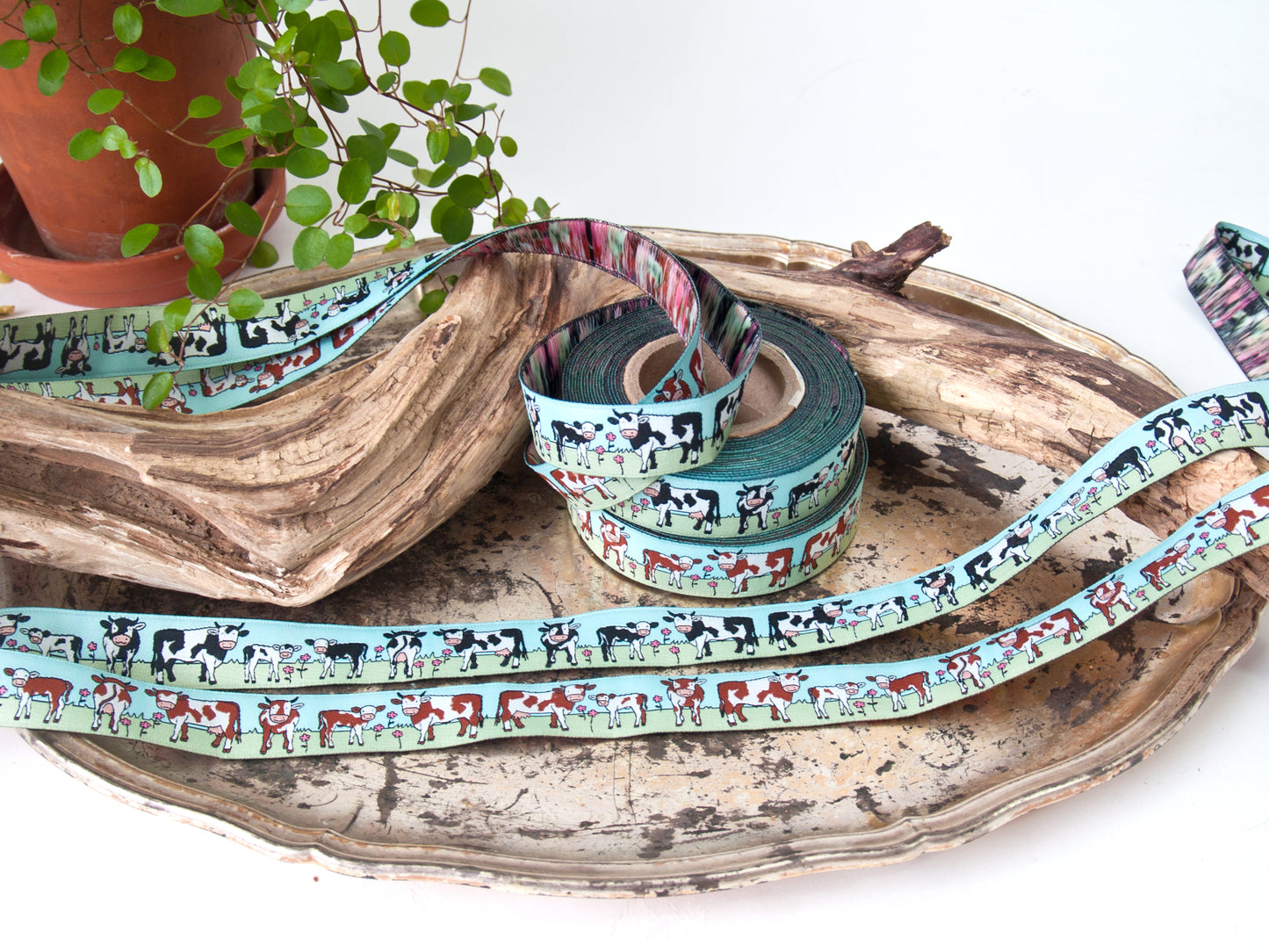 Webband schwarzbunte Kuhfamilie gefleckt